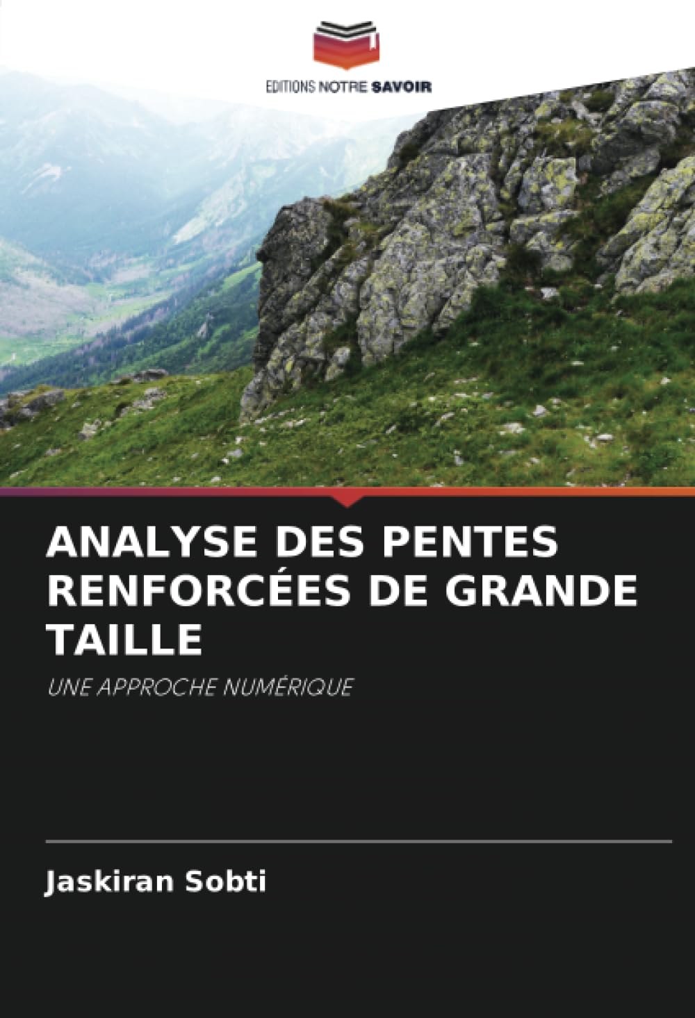 Analyse Numérique des Pentes Renforcées