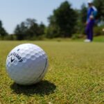 Top 10 des Clubs de Golf Incontournables